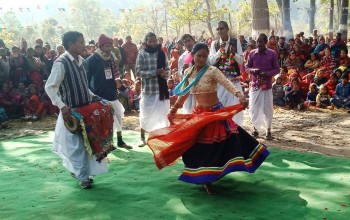 दाङका थारुबस्तीमा माघीको तयारी गर्न भ्याइनभ्याई